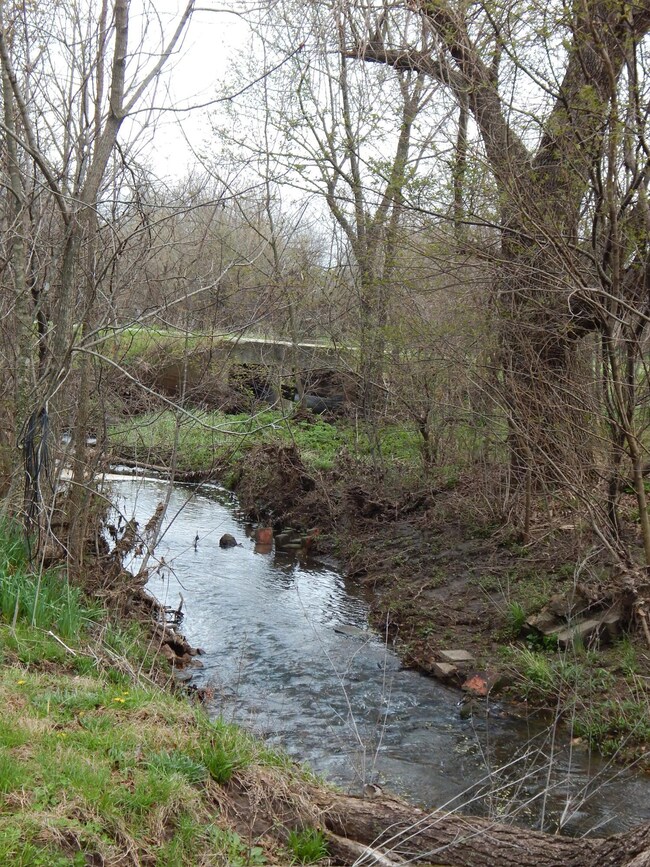 Year round Creek