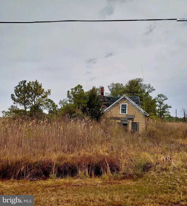 2746 Tedious Creek Rd, Toddville, MD 21672 - photo 2