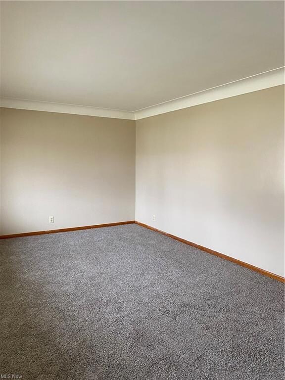 Living room 20 x 12 with new carpeting and paint.