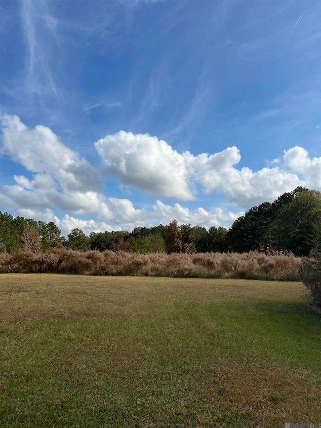 2169 Nesom Rd, Clinton, LA 70722 - photo 6