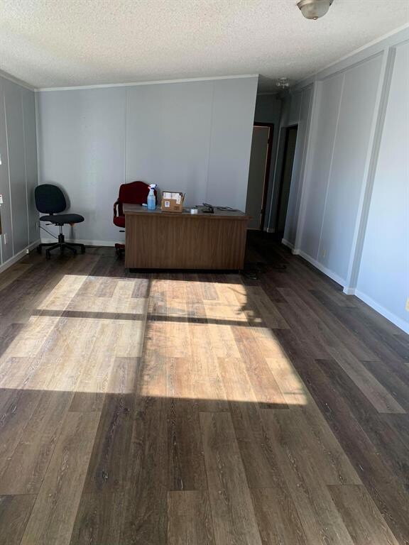 449 Big Salty Dr, Springtown, TX 76082 - photo 6