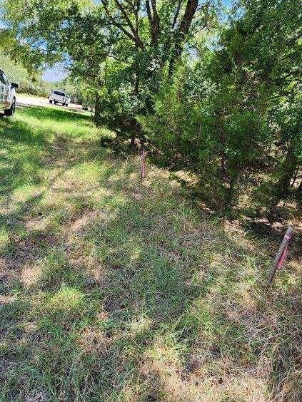 7098 Cedar Valley Dr, Whitney, TX 76692 - photo 6