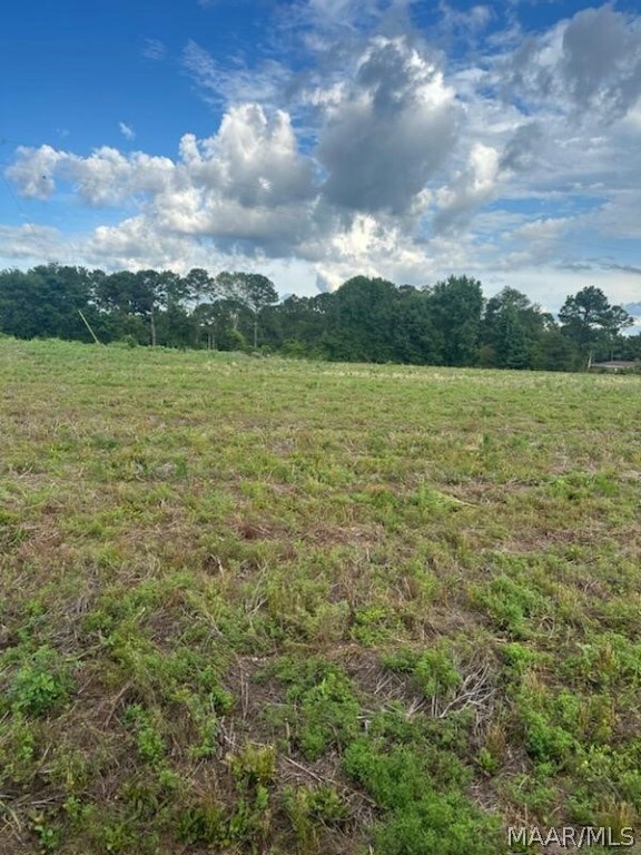 0000 Alabama 125 unit LOT 4, Brundidge, AL 36010 - photo 2
