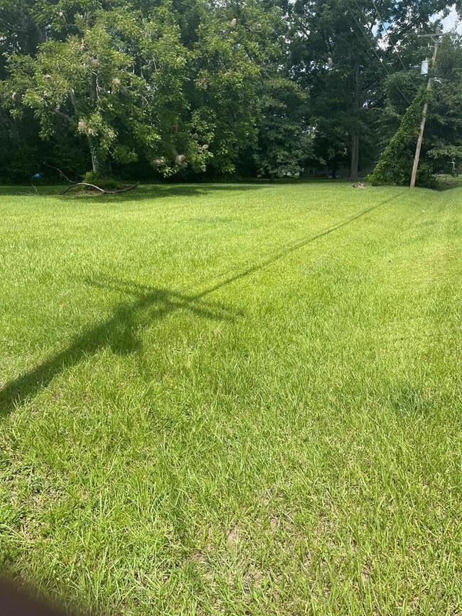 0 E Meeting Street and North Gordon St, Adel, GA - photo 2