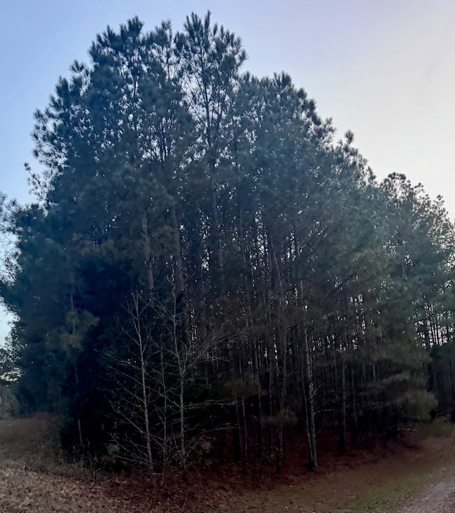 3230 Steadman Rd unit 265, Tallapoosa, GA 30176 - photo 4