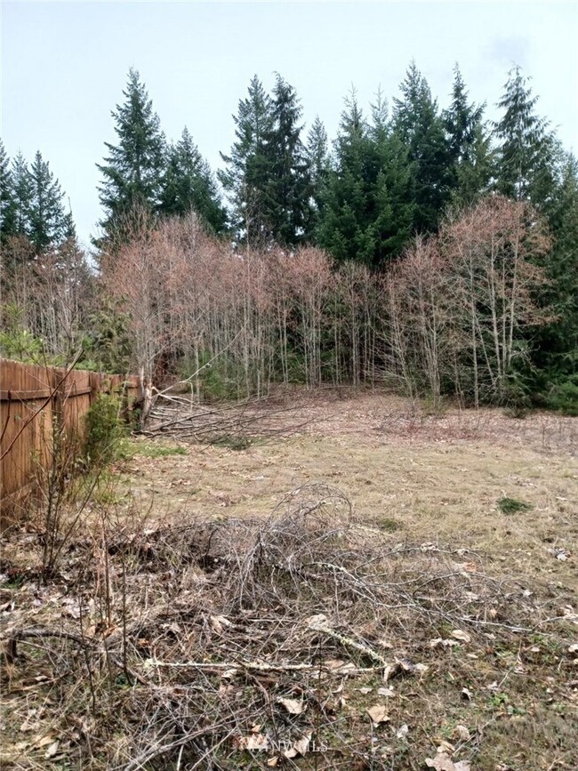 0 190th St E unit NWM1903983, Orting, WA 98360 - photo 4