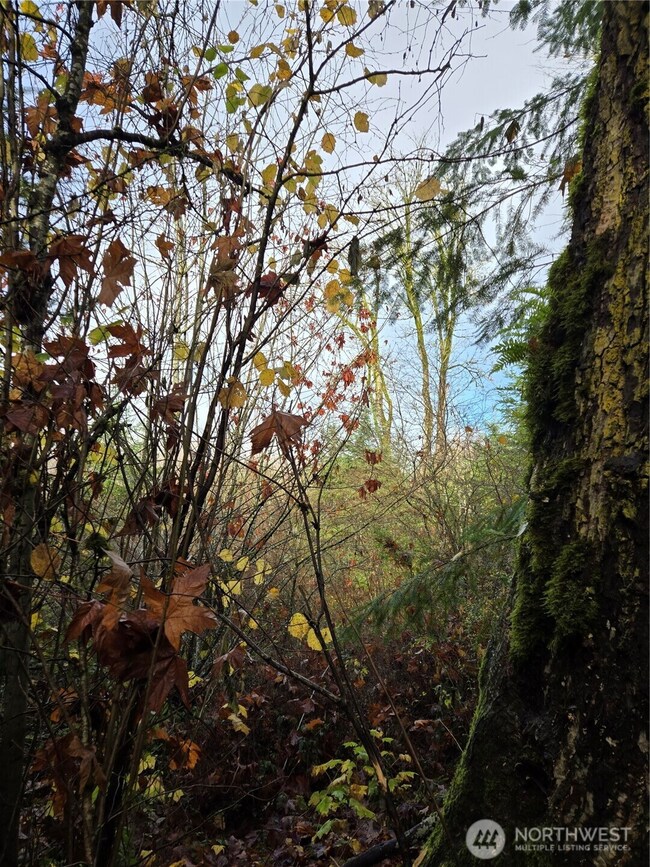 388 XX 191st Ave SE, Auburn, WA 98092 - photo 7