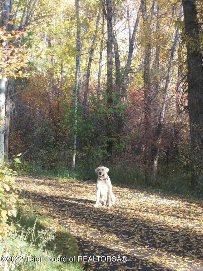 782 Streamside St, Driggs, ID 83422 - photo 4