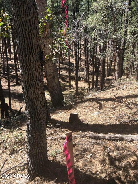 Parcel 1 N Pine Hollow Trail unit 2, Pine, AZ 85544 - photo 4