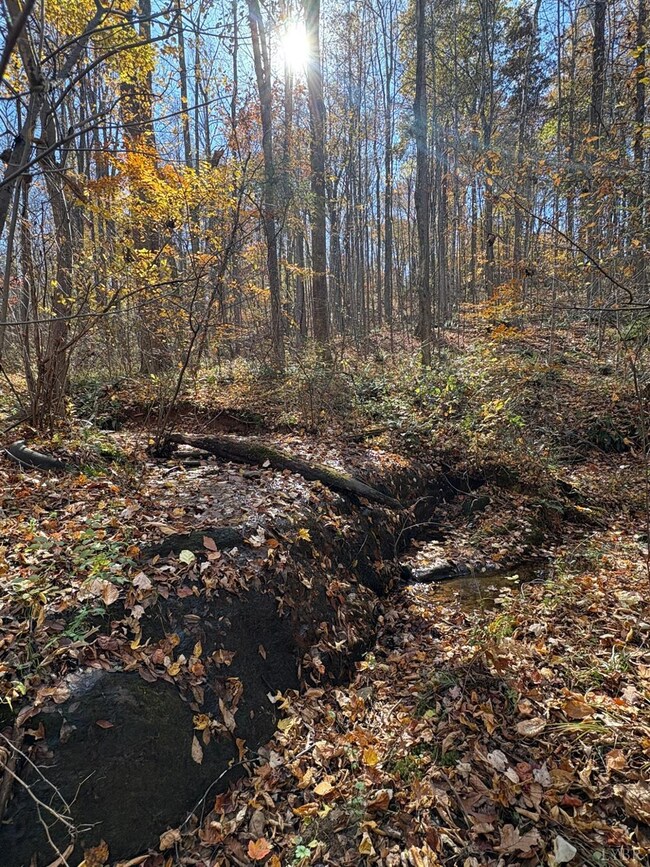 9-D Richmond Hwy, Amherst, VA 24521 - photo 5