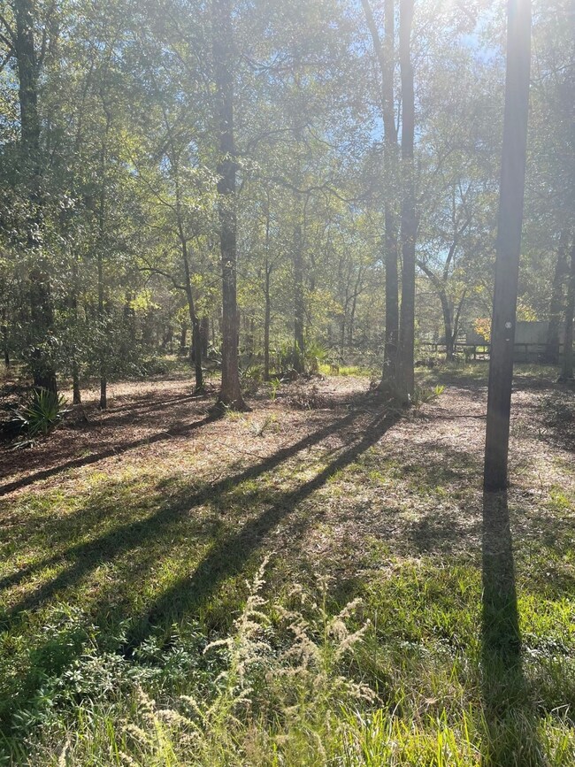 TBD County Road 441, Dayton, TX 77535 - photo 4