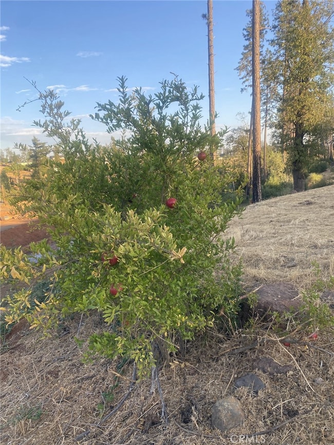 5640 Gramercy Place, Paradise, CA 95969 - photo 3