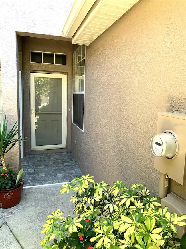 11106 Windsor Place Cir, Tampa, FL 33626 - photo 2