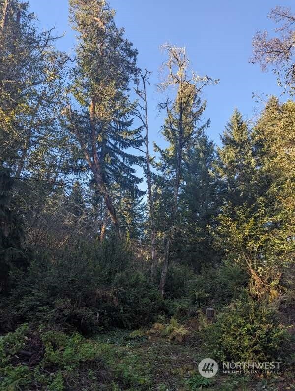 10614 Suncrest Dr, Anderson Island, WA 98303 - photo 6