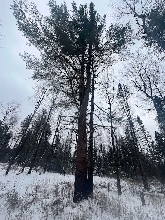 2260 Highway 44, Brimson, MN 55602 - photo 4