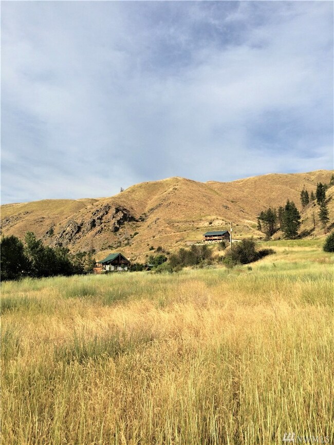 0 Lot 8 Burma Rd unit 1153300, Methow, WA 98834 - photo 2