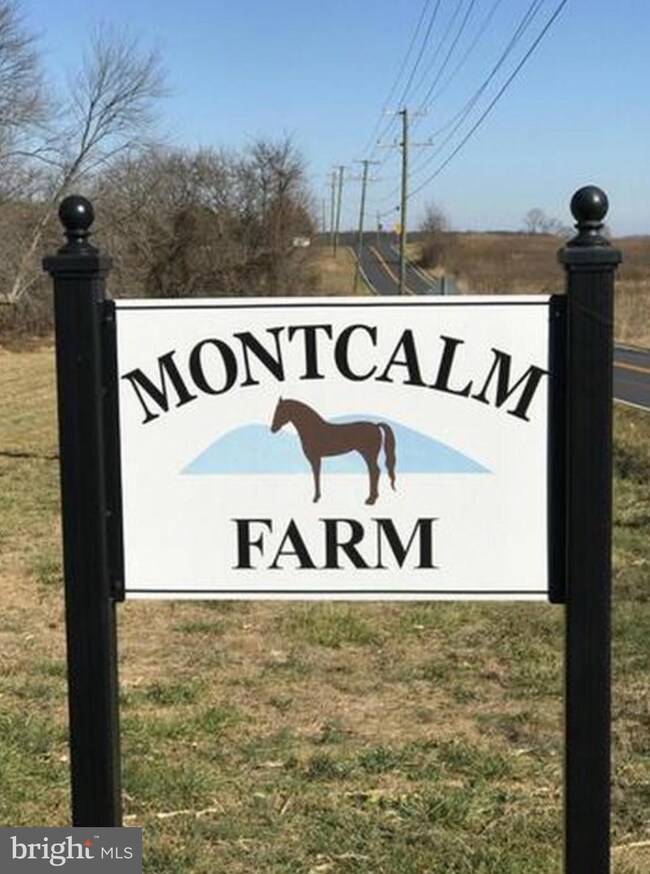 16250 Short Hill Rd, Hillsboro, VA 20132 - photo 2