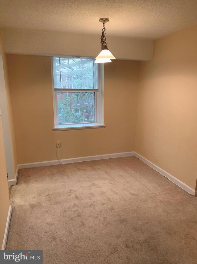 3007 S Buchanan St unit B2, Arlington, VA 22206 - photo 7