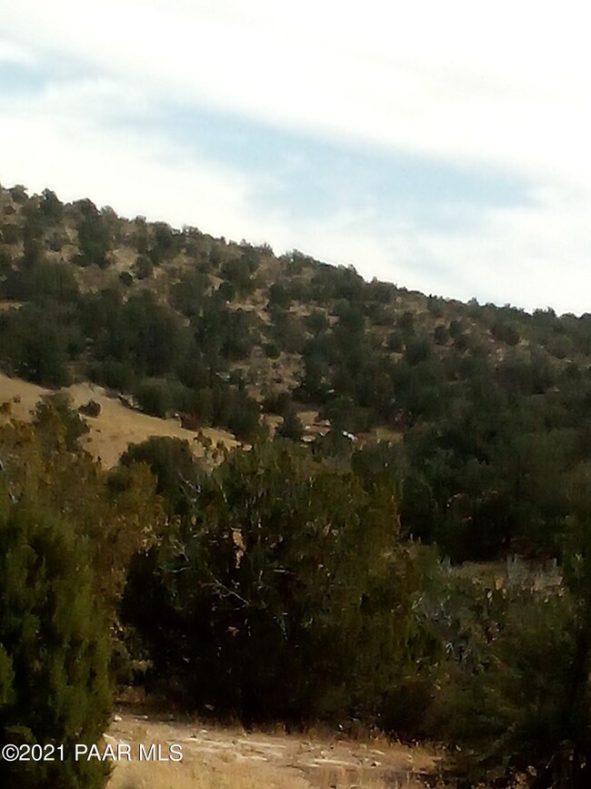 Lot 646 Denny 5 Rd Rd, Seligman, AZ 86337 - photo 4