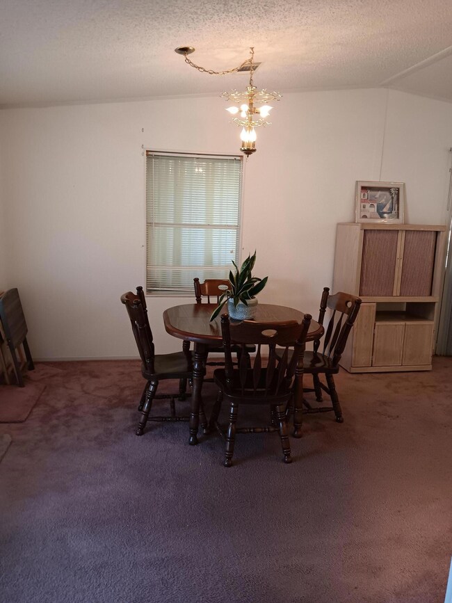 7534 Cedar Bark Rd, Sebastian, FL 32976 - photo 6