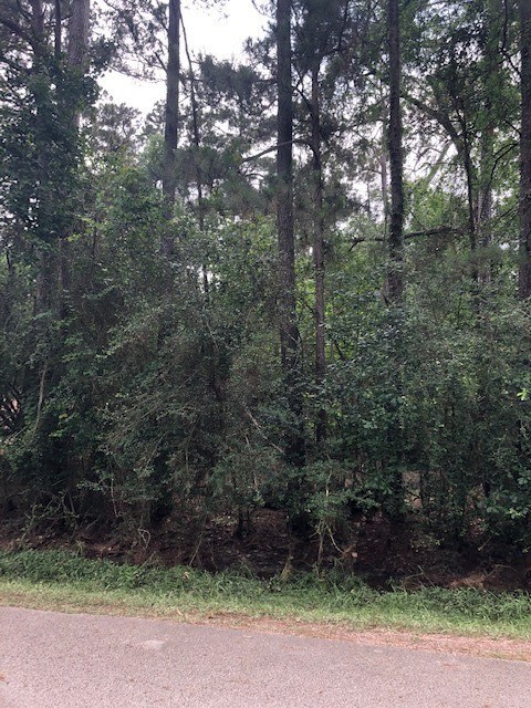 0 Shadberry, Magnolia, TX 77354 - photo 5