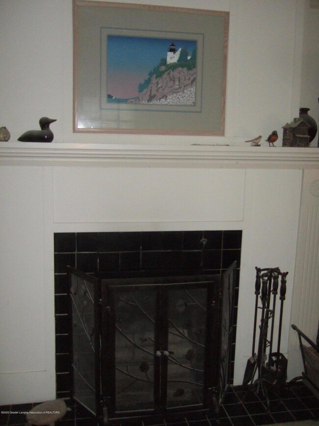 Wood Burning Fireplace