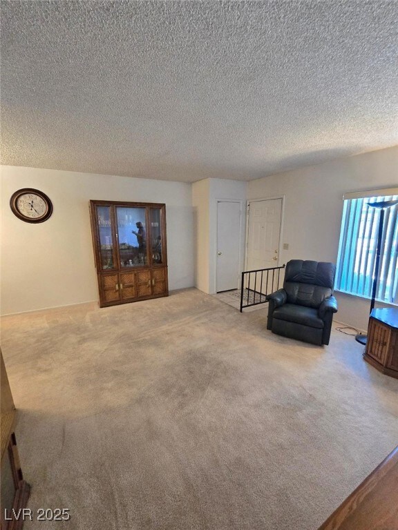 Living area featuring carpet floors and a textured