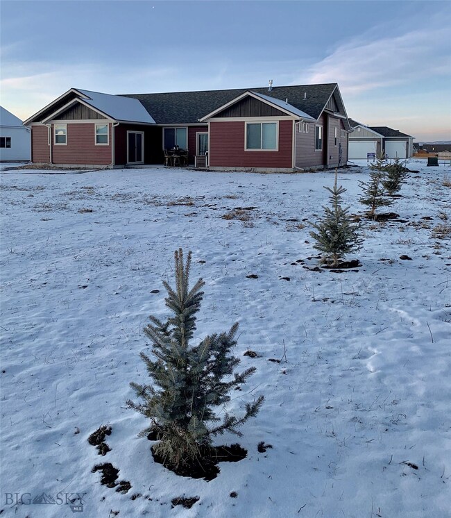 An abundance of Evergreens planted Along the Backy