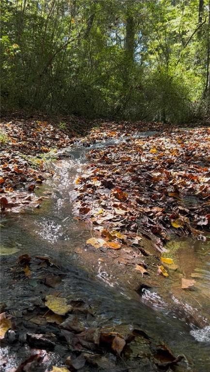 727 Musgrove Rd, Griffin, GA 30223 - photo 3