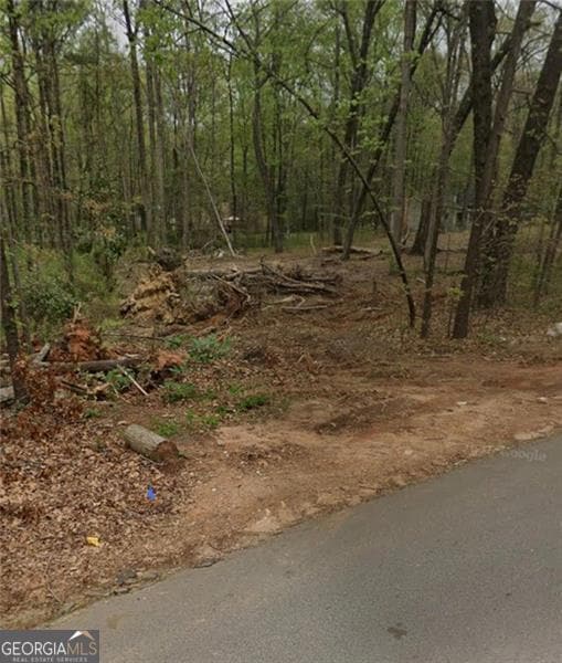 15 Guthrie Place, Stockbridge, GA 30281 - photo 3