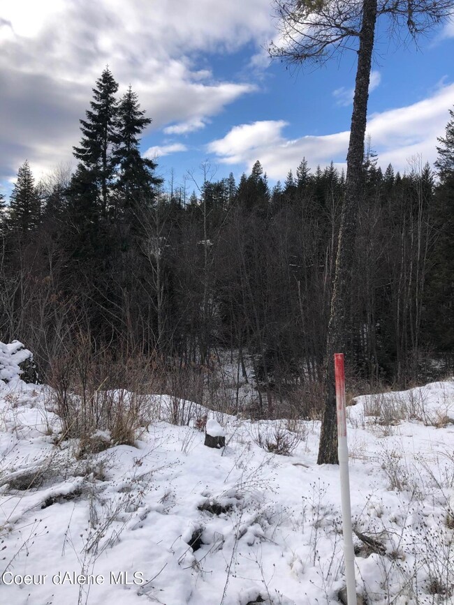 NNA F8&F9 S Idaho Club Dr, Sandpoint, ID 83864 - photo 6