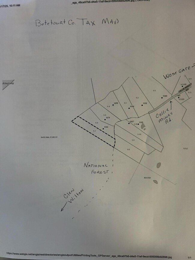 image1 (1)