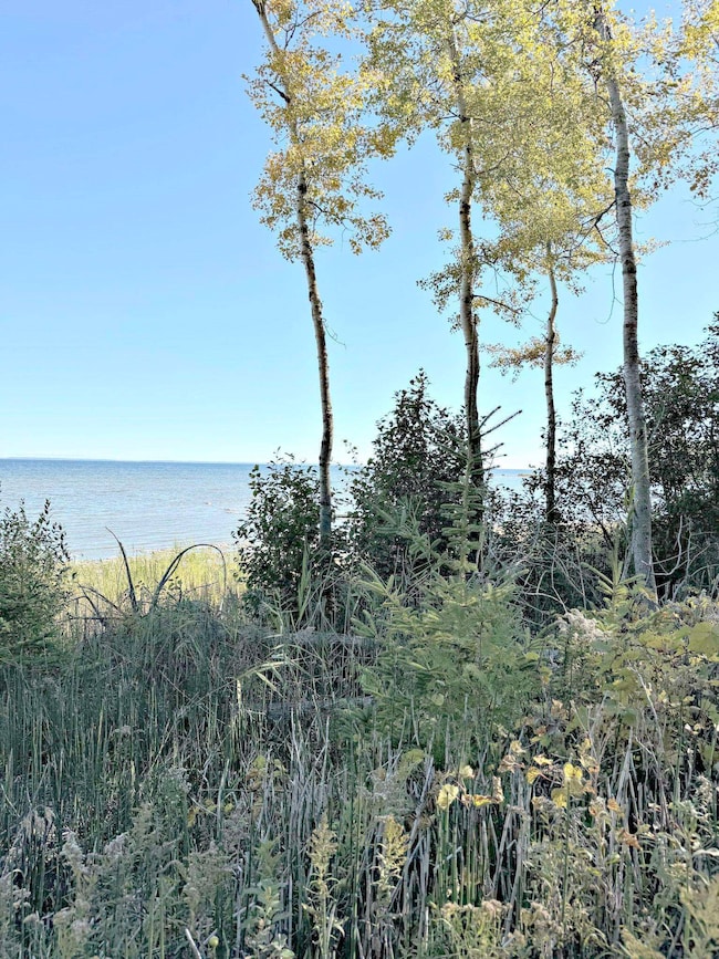 0 E State Highway M35, Menominee, MI 49858 - photo 2