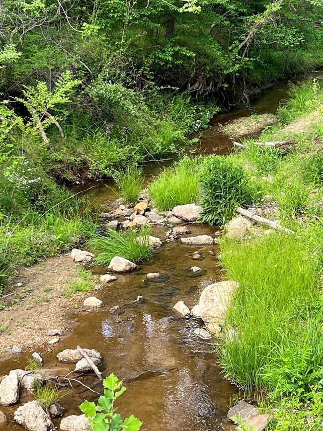 42.9 AC Brandon Rd, Chatham, VA 24531 - photo 5