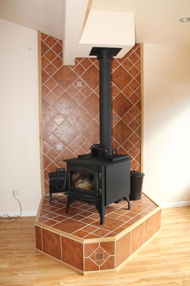 Wood Stove