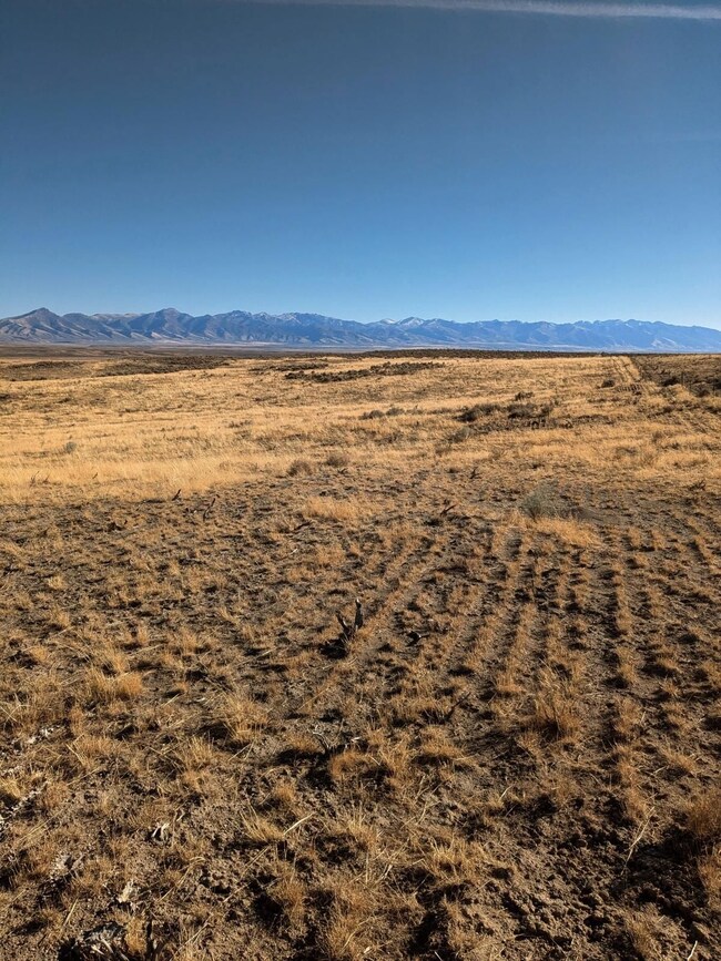 Unnamed Rd, Halleck, NV 89823 - photo 6