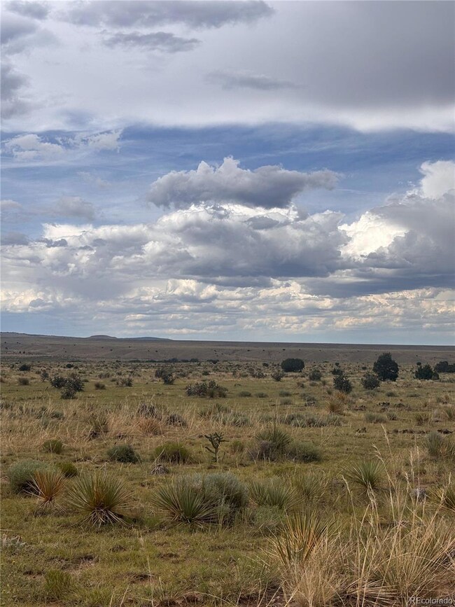 000 Lot 100 Colorado Land and Livestock Ranch unit 100, Rye, CO 81069 - photo 7