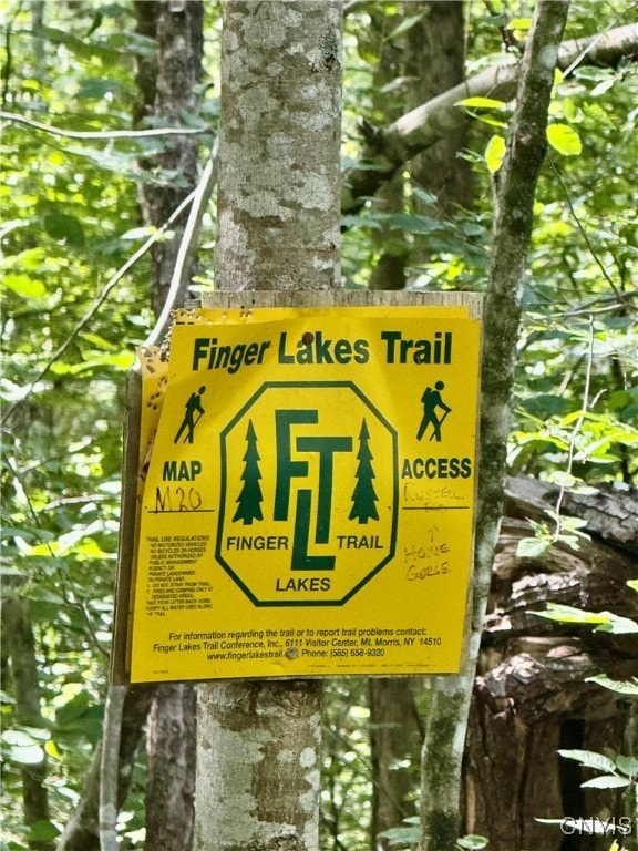 1792 Steve Russell Hill Rd, Freetown, NY 13803 - photo 3