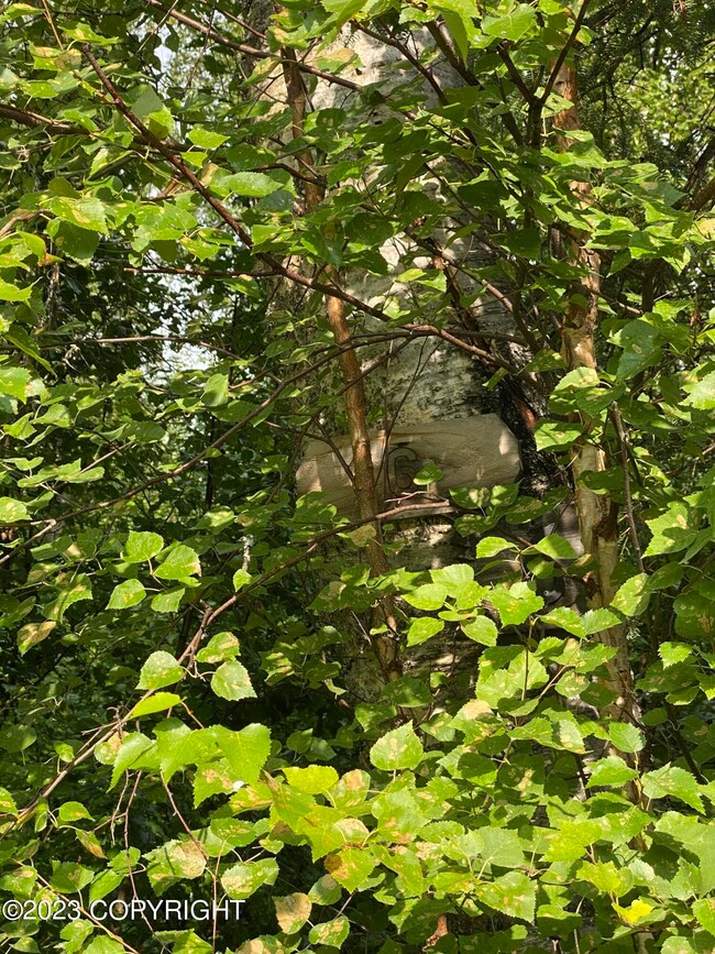 49375 S Noahs Cir, Willow, AK 99688 - photo 4