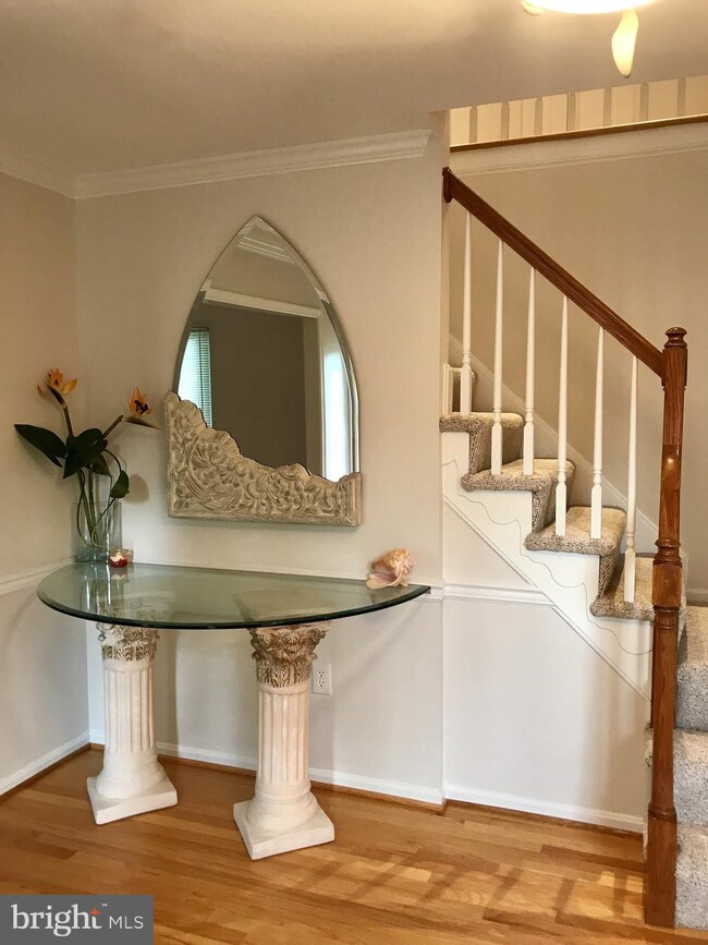 15229 Jones Ln, Gaithersburg, MD 20878 - photo 3