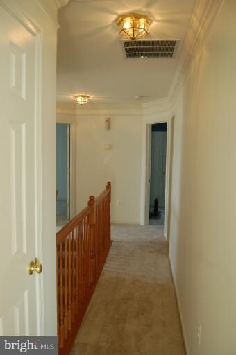 10205 Picturesque Ct, Nokesville, VA 20181 - photo 3