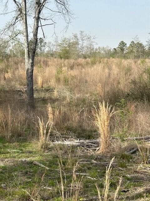 0 Baggett Rd, Deridder, LA 70634 - photo 5