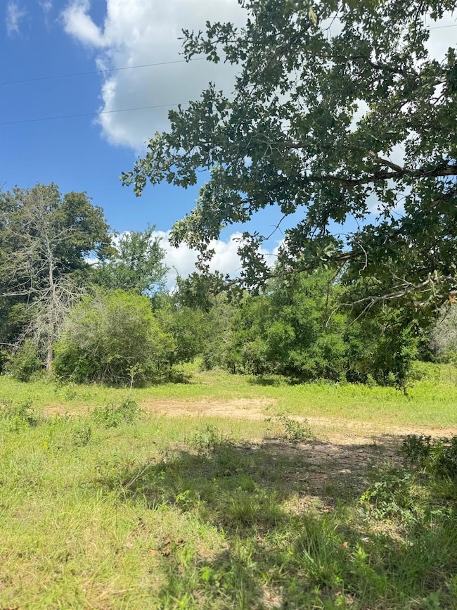 View of undeveloped land