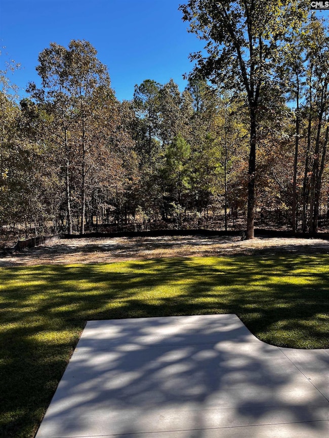 1769 Bookman Rd, Elgin, SC 29045 - photo 4