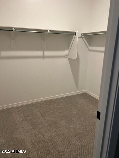 Lot 87 - mstr walk in closet