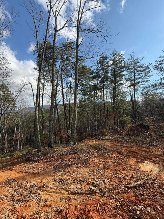 Lot 1 Parksville Rd, Benton, TN 37307 - photo 6