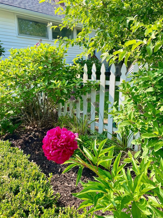 WHITE PICKET FENCE