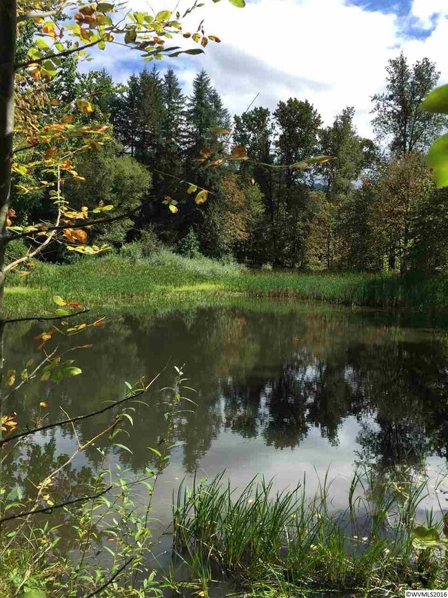 21226 Abiqua Rd NE, Scotts Mills, OR 97375 - photo 3