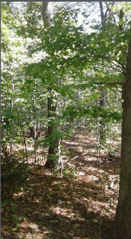 0 & 56 &60 Wauwinet, Worcester, MA 01605 - photo 4