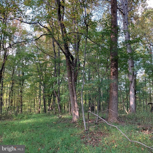 0 Mountain Ridge Way unit VACU2004116, Culpeper, VA 22701 - photo 7